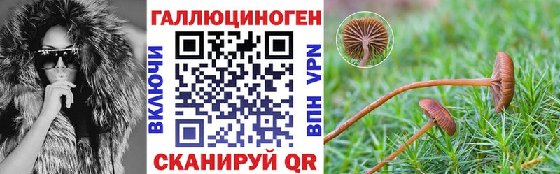 Псилоцибиновые грибы Cubensis где можно купить наркотик Ишимбай